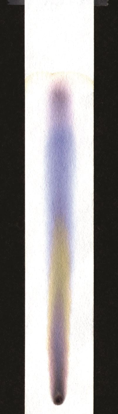Industrial Application-Specific Chromatography Paper, Pack Of 100 Strips | U... | CHRP100