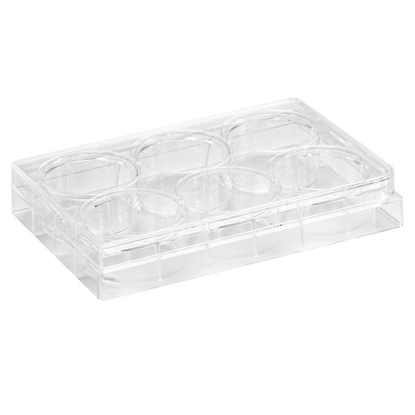 CC Plate 6w Flat PS TC treat Sterile Pack/100 | CL-PT006