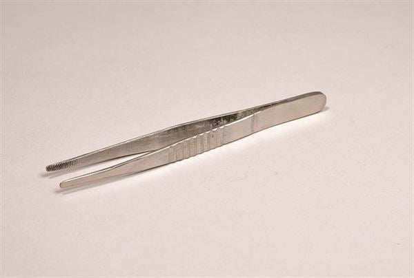 Scientific Instructional Stainless Steel Forceps, Economy Blunt, 5 | United S... | FOBL05