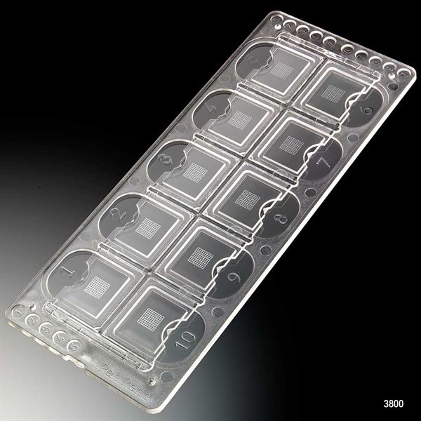 Quick-Read Precision 10 Wells/Slide, 100 Slides/Box (1000 Tests)-3800