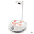 Magnetic Stirrer, 100-240v, 50/60Hz, PET surface-GSE