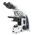 iScope bi microscope, EWF 10x/22mm, eyepiece,EPLI 4/10/S40/S100x oil IOS obj - EIS-1152-EPLI