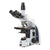 iScope tri microscope, EWF 10x/22mm, eyepiece,EPLI 4/10/S40/S100x oil IOS obj - EIS-1153-EPLI