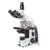 iScope tri microscope, EWF 10x/22mm, eyepiece, PLPHI 10/20/S40/S100x oil IOS - EIS-1153-PLPHI