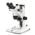 Trinocular stereo zoom microscope Nexius, Zoom Evo, 0.65x to 5.5x zoom objective - ENZ-1703-S