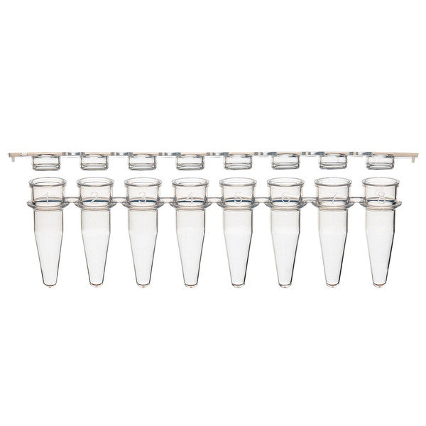 0.2mL 12-Strip Tubes, with Separate, 12-Strip clear Flat caps, Natural, 80/Box - PCR-STR-02F-12