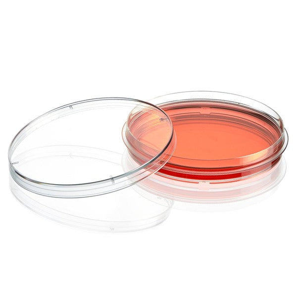Cell Culture Dish, TC Treated, 100mm, 100 x 15mm, Sterile, 10/Bag, 500/Case, 500/Cs - TC-DISH-100