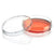 Cell Culture Dish, TC Treated, 100mm,XL , 100 x 20mm, Sterile, 10/Bag, 300/Case - TC-DISH-100XL