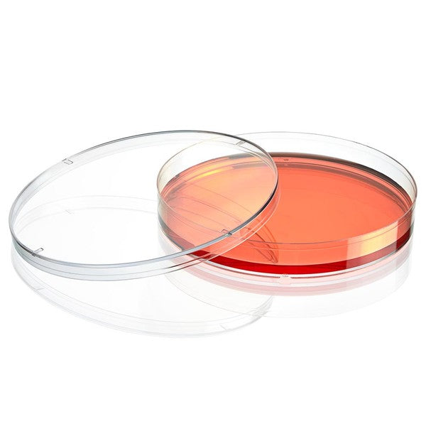 Cell Culture Dish, TC Treated, 150mm, 150 x 20mm, Sterile, 5/Bag, 100/Case, 100/Cs - TC-DISH-150