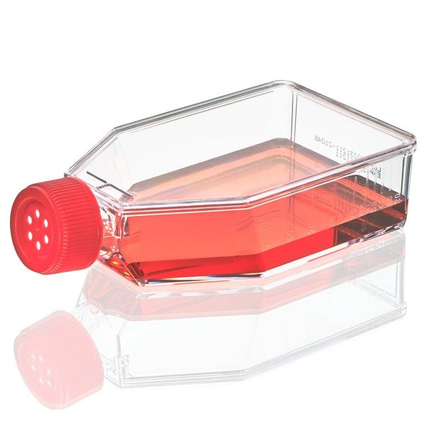Cell Culture Flask, TC Treated, 75cm2, Vent Cap, Sterile, 5/Bag, 100/Case - TC-FLSK-75-V