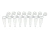 PCR 8-Strip, 0.2mL, Attached Individual Frosted Flat Caps, Natural | PC0208-TF-ATT