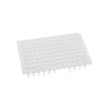 PCR Plate, 96-well, 0.2mL, No Skirt | PC20NS-9-N
