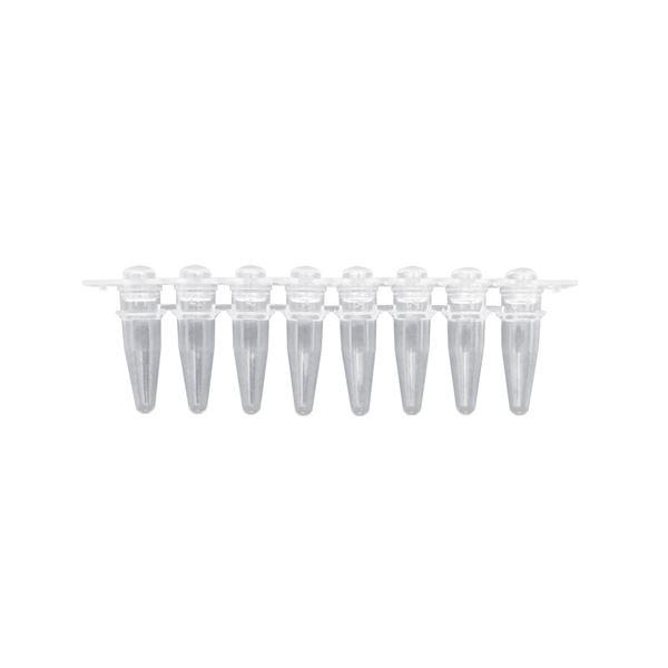 PCR Tubes Strips of 8 tubes w/dome caps packaged separately, 120/pk | P3020