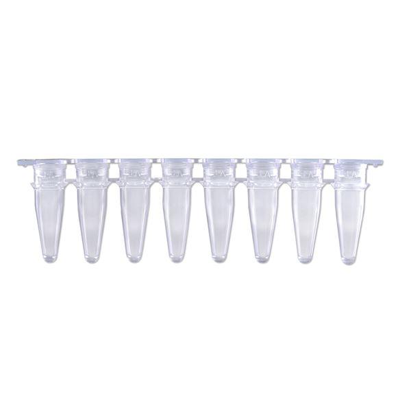 0.2 mL qPCR 8-Strip (With SEPARATE Optical Strip Caps), Natural/Clear, 120/pk | P3802-Q