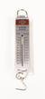 Technical Instructional Spring Scale 500g x 10g, 5N x 0.1N for Balances Scale... | SB0500