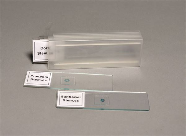 Heavy-Duty Laboratory Task-Focused Prepared Slide Set, 4 Slides | SLDSET4