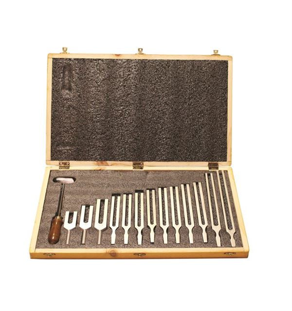 Laboratory Instructional Tuning Fork Boxed for Equipment Parts Acc. Work | TFBOX13