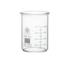 Precision Pour-Control Beakers, Low Form, Borosilicate Glass, 250 mL... | BG1000-250-CASE