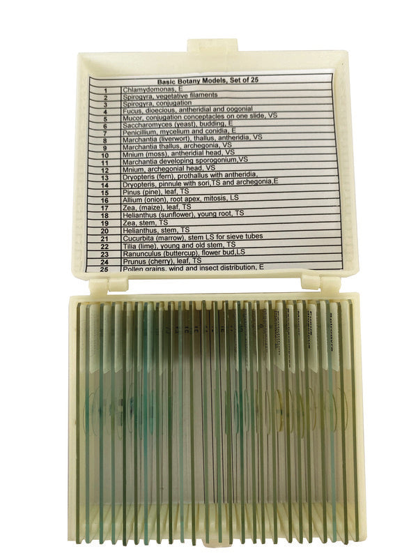 Technical Bench-Ready Basic Botany Models Slide for Microscope Slides Work | UNSLBOT25