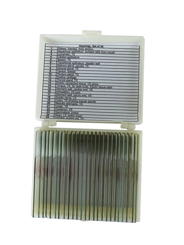 Industrial Workflow-Specific Histology Slide for Microscope Slides Work | UNSLHIS25