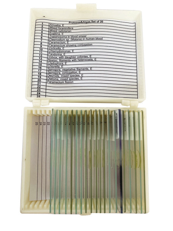 Industrial Application-Specific Protozoa Algae Slide Set for Microscope S... | UNSLPRAL20