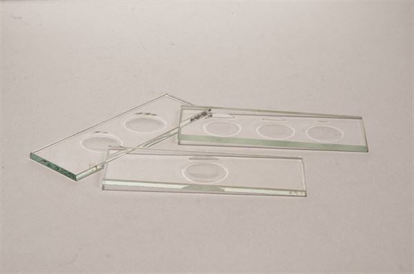 Industrial Workflow-Specific Concavity Slides, Glass, Thick, 1 Concavity, Pack/12 | CSTK01
