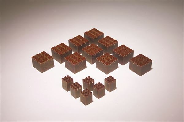 Technical Task-Focused Embedding Blocks 1 X 1 X 3/4, Pk/10 for Biology Work | EB0004