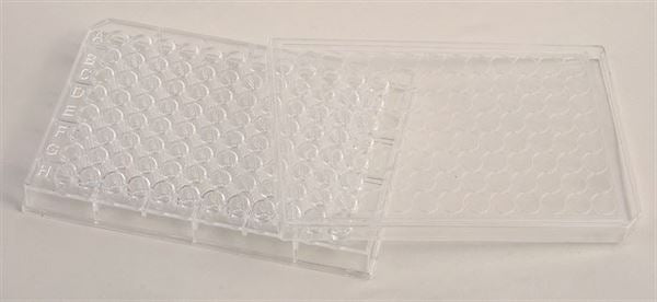 Well Plate Clear Plastic, 96 Wells, Pk10 - F1003-U