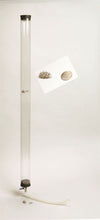 Heavy-Duty Instructional Physics Equipment Free Fall Tube for Physics Work | FFT001