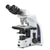 iScope bi microscope, EWF 10x/22mm, eyepiece, PLI 4/10/S40/S100x oil IOS obj - EIS-1152-PLI