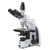 iScope trinocular microscope with EWF, 10x/22mm eyepiece,PLI 4/10/S40/S100x - EIS-1153-PLI