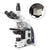 iScope tri microscope, EWF 10x/22mm, eyepiece, 10/20/S40/S100x, w/camera - EIS-1153-PLPHI-HDS