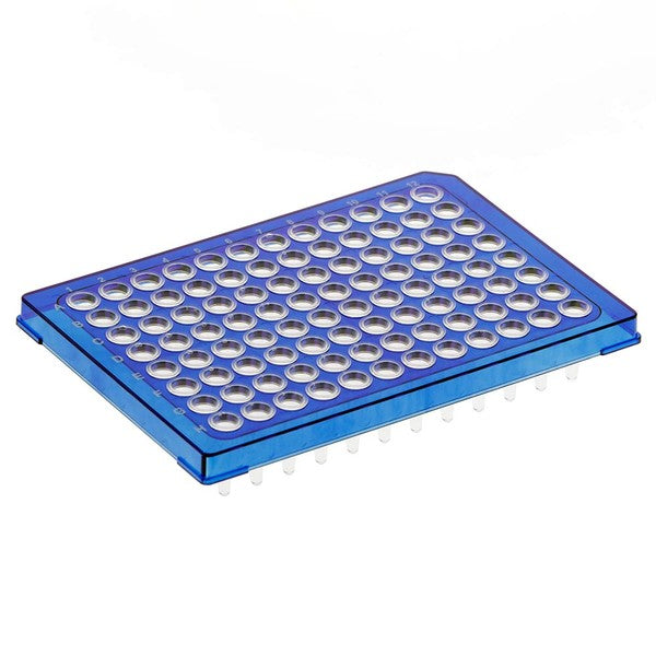 Diamond Shell 0.2mL 96 well PCR Plate, Blue PC frame and PP wells, 100/Cs - PCR-DS-HS-02-B