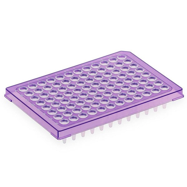 Diamond Shell 0.2mL 96 well PCR Plate, Violet PC frame and PP wells, 100/Cs - PCR-DS-HS-02-V