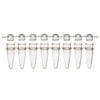 0.2mL 12-Strip Tubes, with Separate, 12-Strip clear Dome caps, Natural, 80/Box - PCR-STR-02D-12