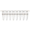 0.2mL 12-Strip Tubes, with Separate, 12-Strip clear Flat caps, Natural, 80/Box - PCR-STR-02F-12