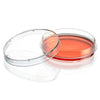 Cell Culture Dish, TC Treated, 100mm,XL , 100 x 20mm, Sterile, 10/Bag, 300/Case - TC-DISH-100XL