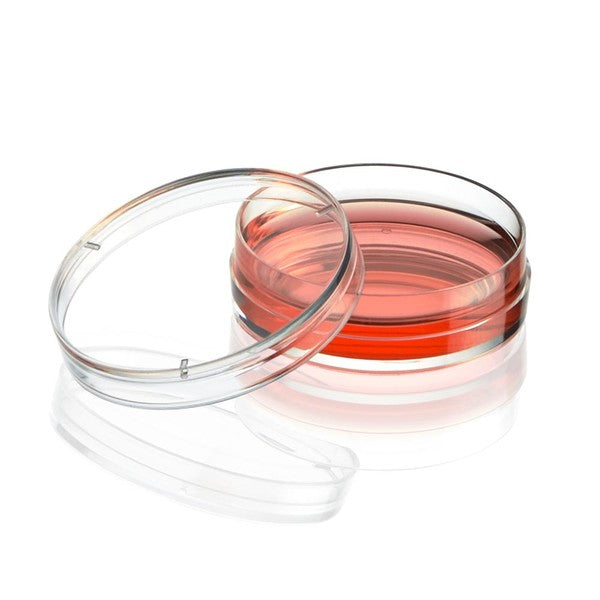 Cell Culture Dish, TC Treated, 35mm, 35 x 10mm, Sterile, 10/Bag, 500/Case, 500/Cs - TC-DISH-35