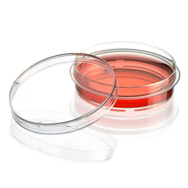 Cell Culture Dish, TC Treated, 60mm, 60 x 15mm, Sterile, 10/Bag, 500/Case, 500/Cs - TC-DISH-60