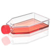 Cell Culture Flask, TC Treated, 182cm2, Plug Cap, Sterile, 5/Bag, 40/Case - TC-FLSK-182-P