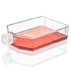 Cell Culture Flask, Non-treated, 850mL, Vent Cap, Sterile, 5/Bag, 25/Case - TC-FLSK-225-V-NT