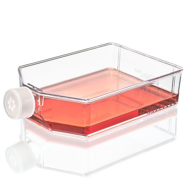 Cell Culture Flask, Non-treated, 850mL, Vent Cap, Sterile, 5/Bag, 25/Case - TC-FLSK-225-V-NT