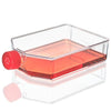 Cell Culture Flask, TC Treated, 225cm2, Vent Cap, Sterile, 5/Bag, 25/Case - TC-FLSK-225-V