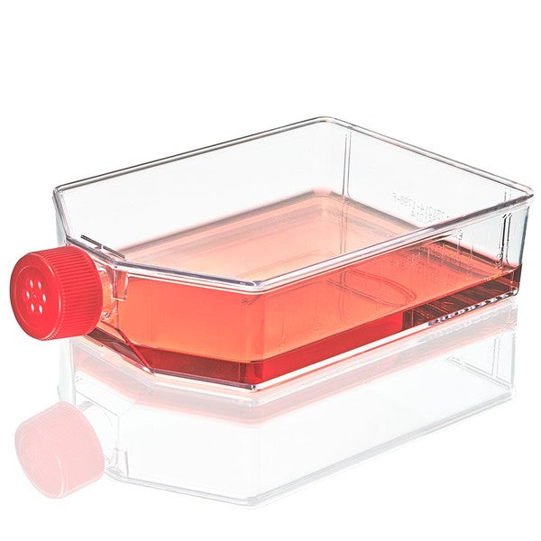 Cell Culture Flask, TC Treated, 225cm2, Vent Cap, Sterile, 5/Bag, 25/Case - TC-FLSK-225-V