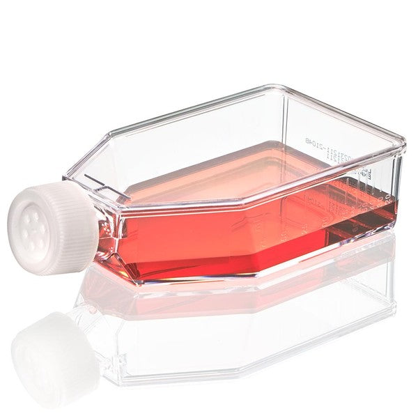 Cell Culture Flask, Non-treated, 250mL, Vent Cap, Sterile, 5/Bag, 100/Case - TC-FLSK-75-V-NT