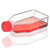 Cell Culture Flask, TC Treated, 75cm2, Plug Cap, Sterile, 5/Bag, 100/Case - TC-FLSK-75-P