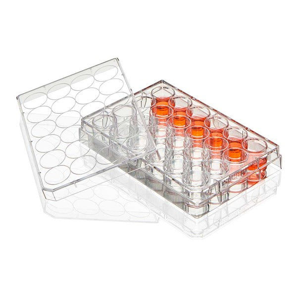 Multiple Well Plate, 24 Well, TC Treated, Flat Bottom, Sterile, 1/Pack, 50/Box - TC-PLT-24