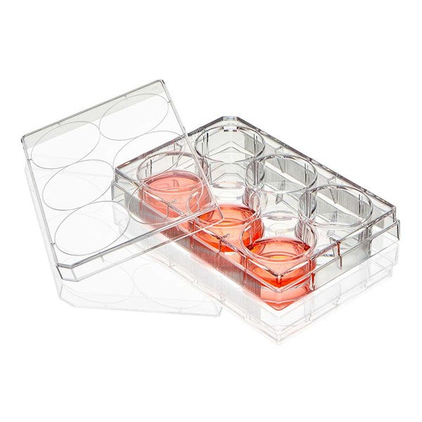 Multiple Well Plate, 6 Well, TC Treated, Flat Bottom, Sterile, 1/Pack, 50/Box - TC-PLT-6