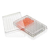 Multiple Well Plate, 96 Well,Non-treated, Round Bottom, Sterile, 1/Pack, 50/Box - TC-PLT-96-R-NT