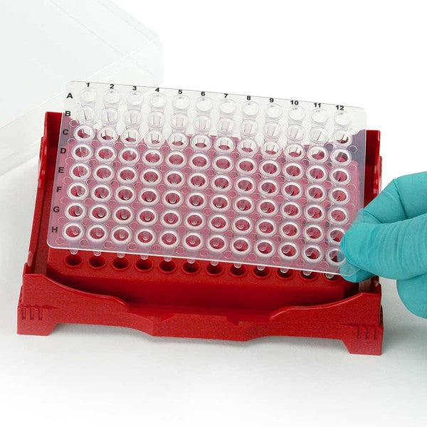 Stackable PCR Work Racks,96 well for PCR, Green, Yellow, Violet, Red, Blue, 5/Pack - PCR-WORKSTACK